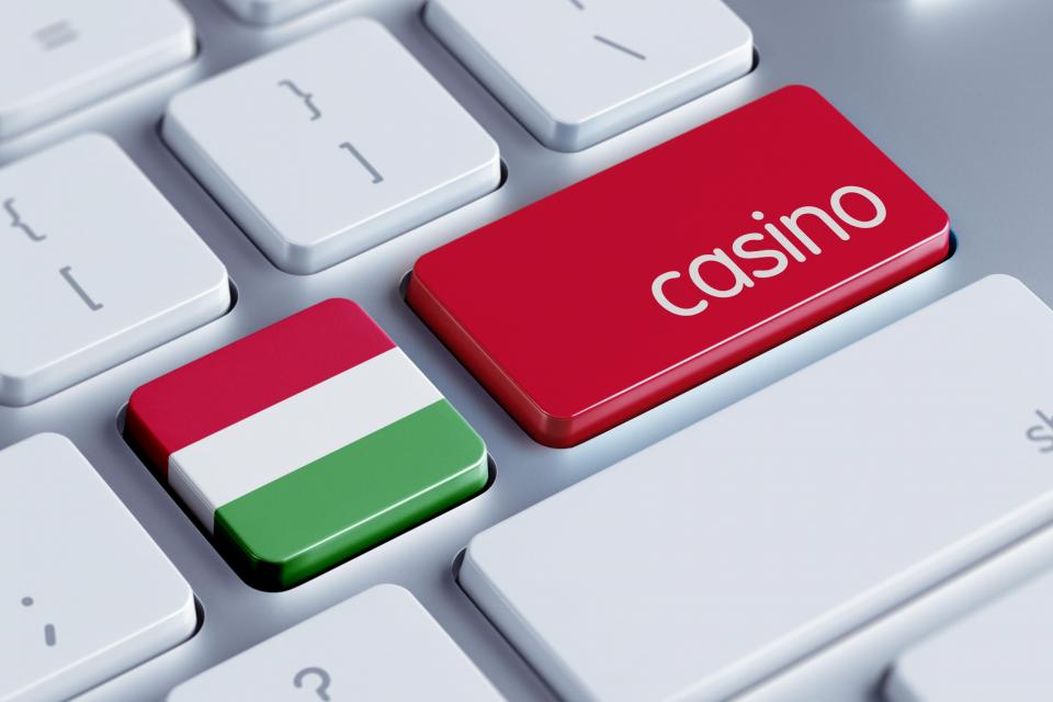 Discovering the Best Betting Site Hungary Everything You Need to Know