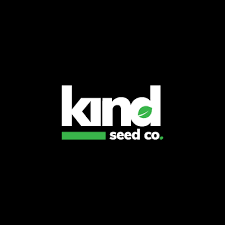 Everything You Need to Know About Autoflower Seeds Everything You Need to Know About Autoflower Seeds